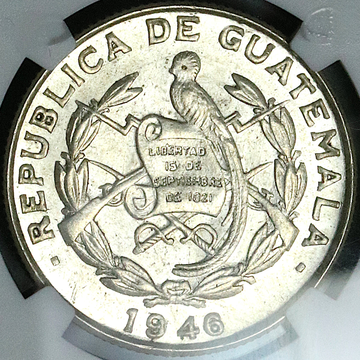 ＮＧＣスラブCOIN ４枚 $_57.JPG?set_id=8800005007