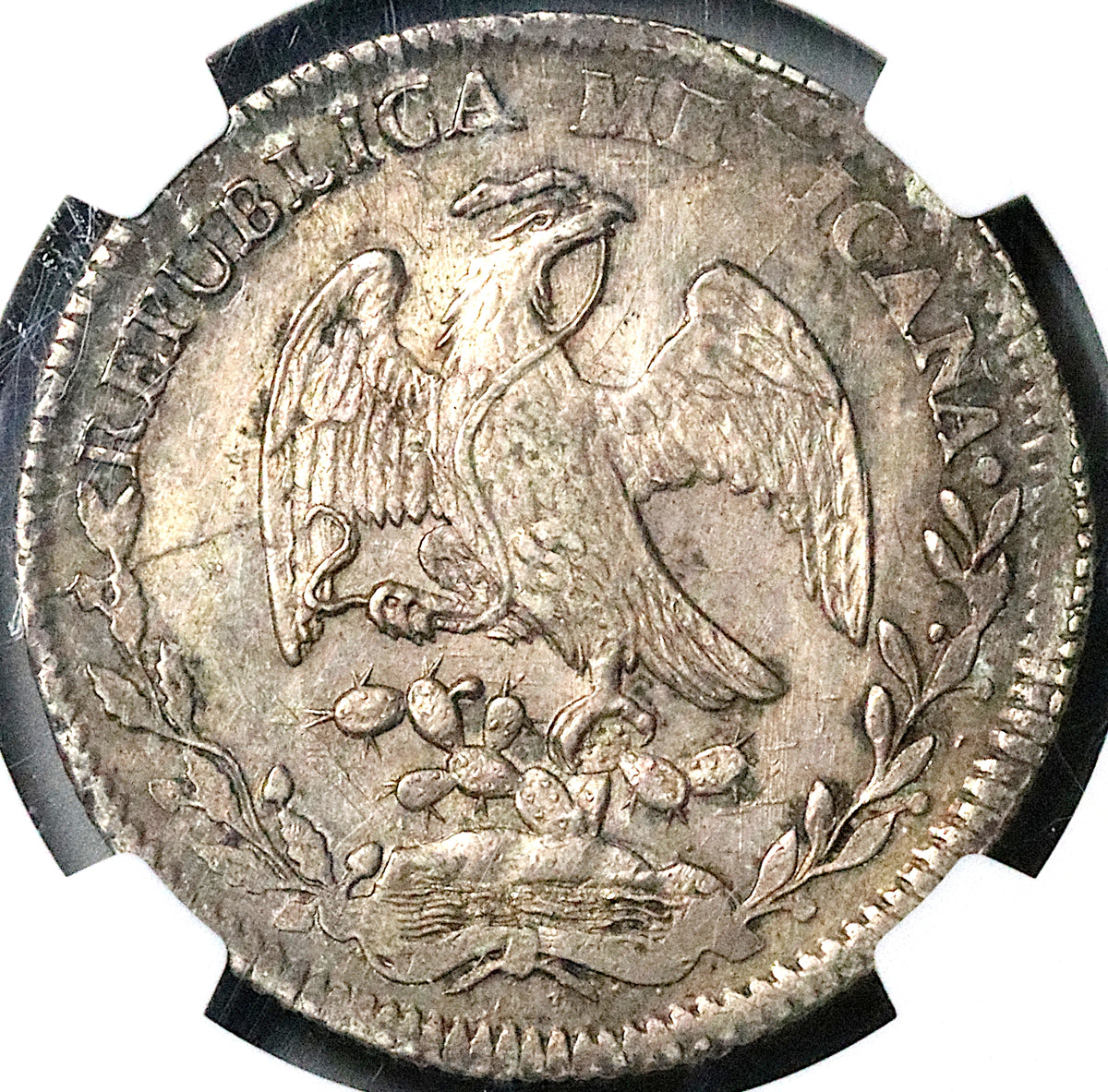 1825-Do NGC UNC Mexico 8 Reales Durango No Period Rare Silver Coin