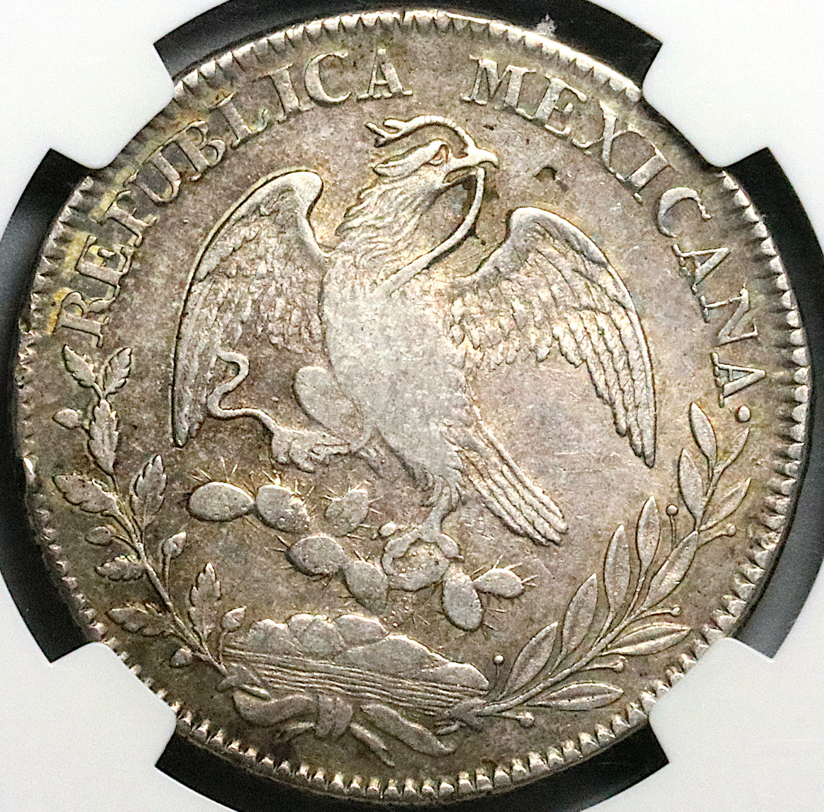 mex_8r_1825zs_vf35_r1_1200x120