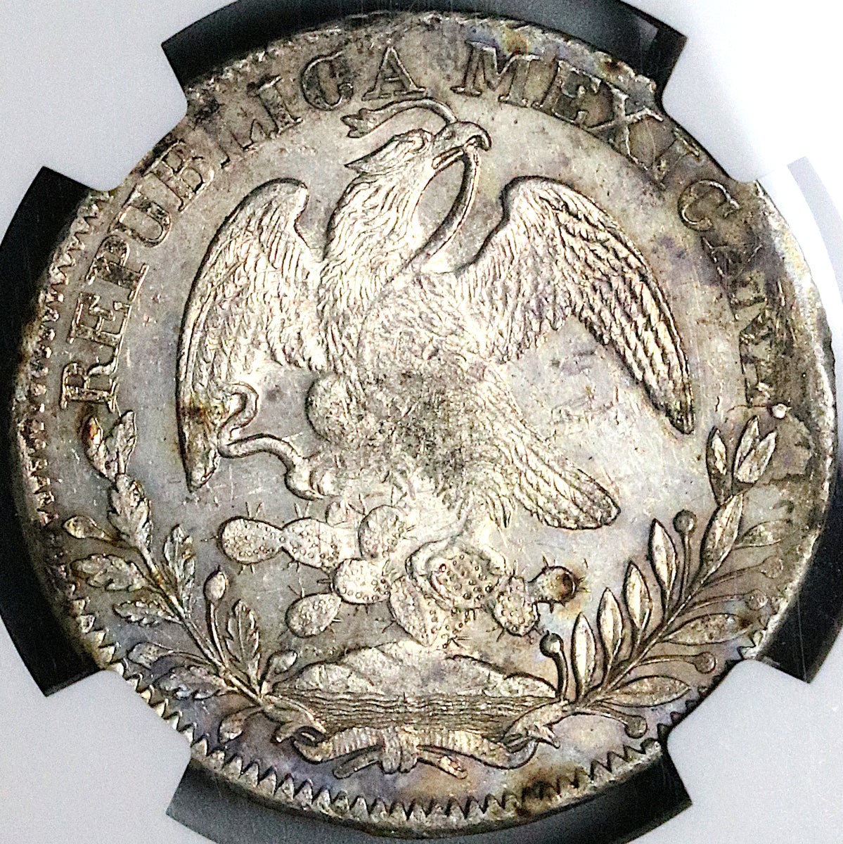 1838-Zs NGC UNC Mexico 8 Reales Zacatecas Mint Cap Rays Scarce