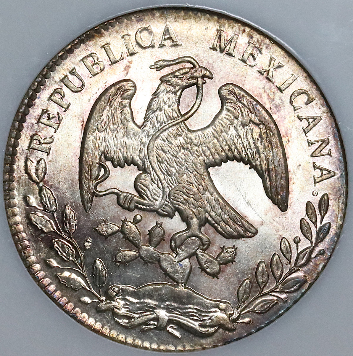 1881-Ga NGC MS 64 Mexico 8 Reales Guadalajara Mint Vintage Holder