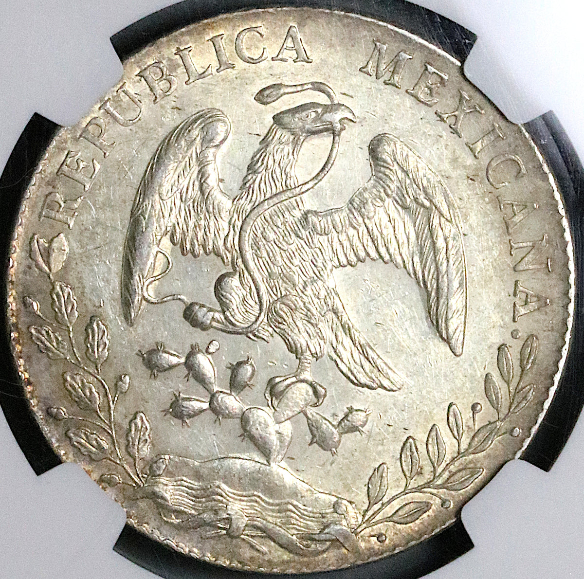 mex_8r_1889do_ms61_r1_1200x120