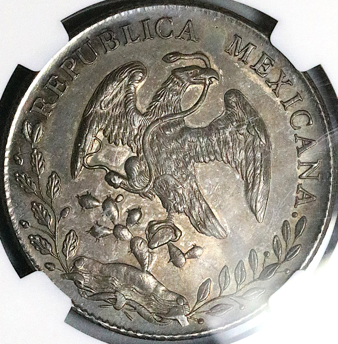 1891-Oa NGC MS 62 Mexico 8 Reales Oaxaca Mint Rare Silver Coin