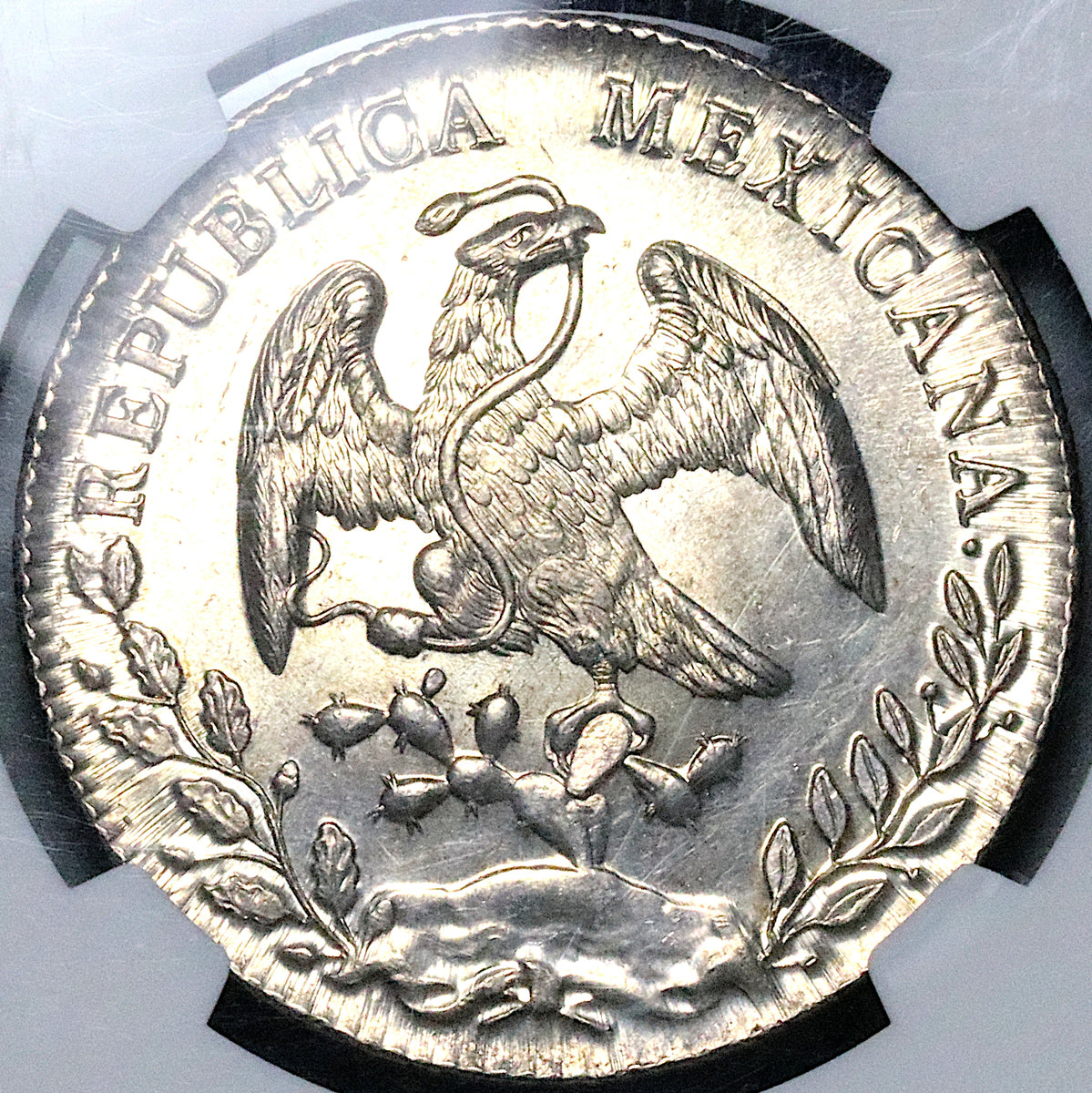 1894-Ga NGC MS 64+ Mexico 8 Reales Guadalajara Mint State Silver