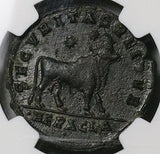 362  NGC XF Julian II AE1 Maiorina Bull Two Stars Apostate Heraclea (25061103C)