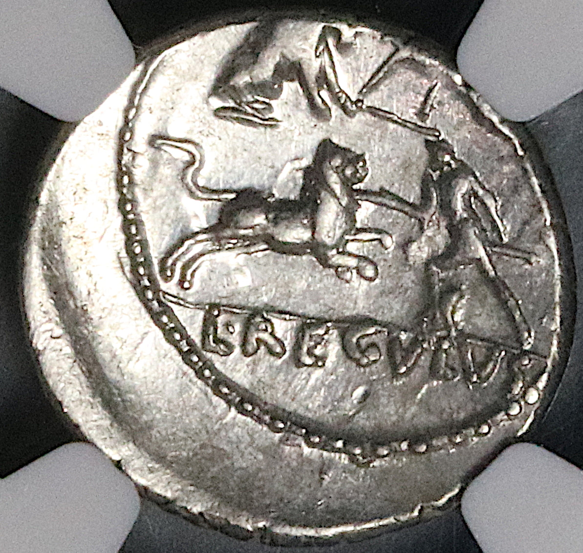 42 BC NGC Ch VF Regulus Roman Imperatorial Denarius Bestiari
