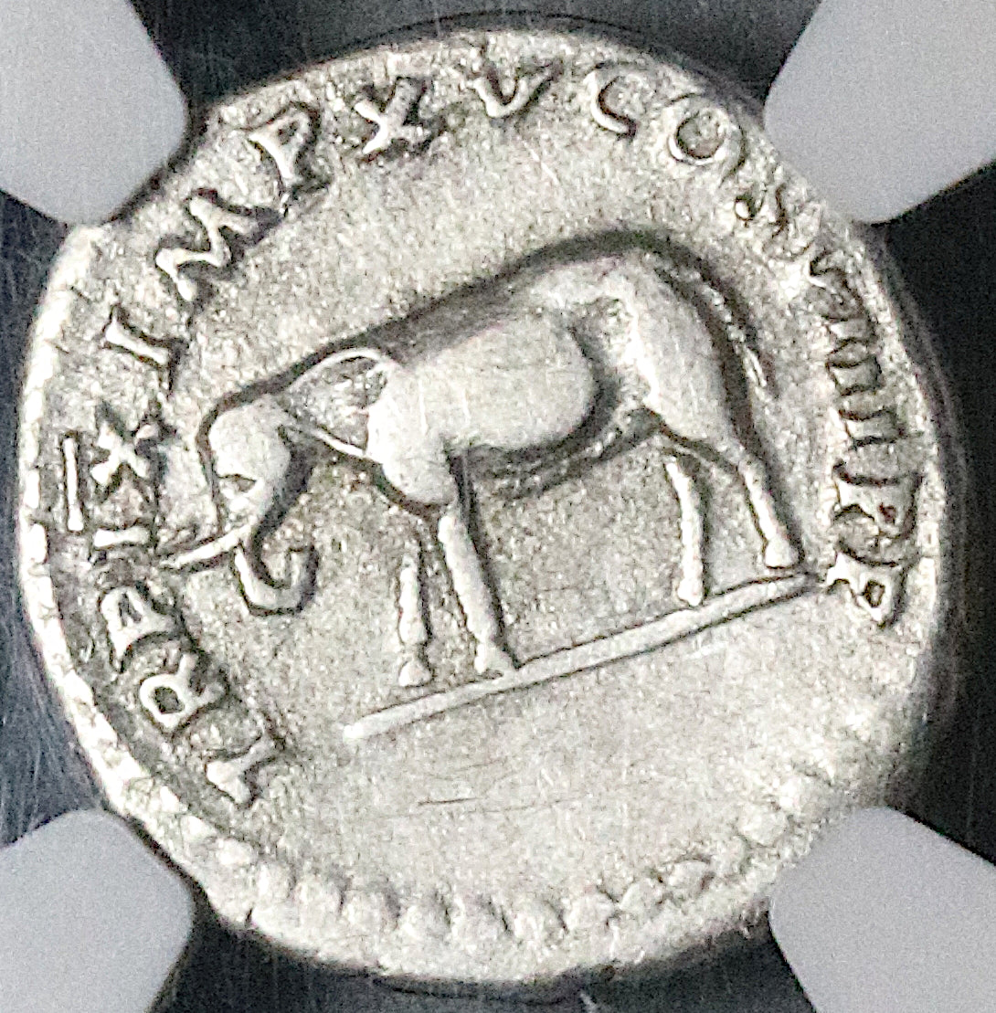 80 NGC Ch F Titus Denarius Roman RARE Elephant Coliseum Pompeii