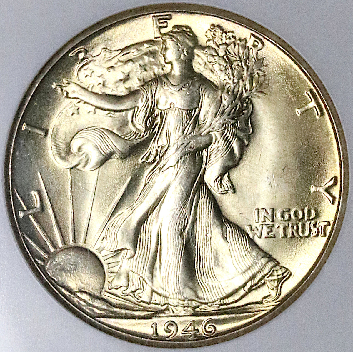1946-D NGC MS 65 Walking Liberty Half Dollar Walker Gem USA Coin