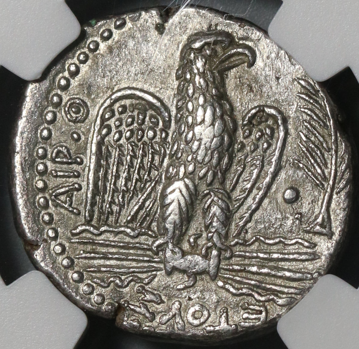 antioch_nero_4dr_yr9_chxf_r1_1