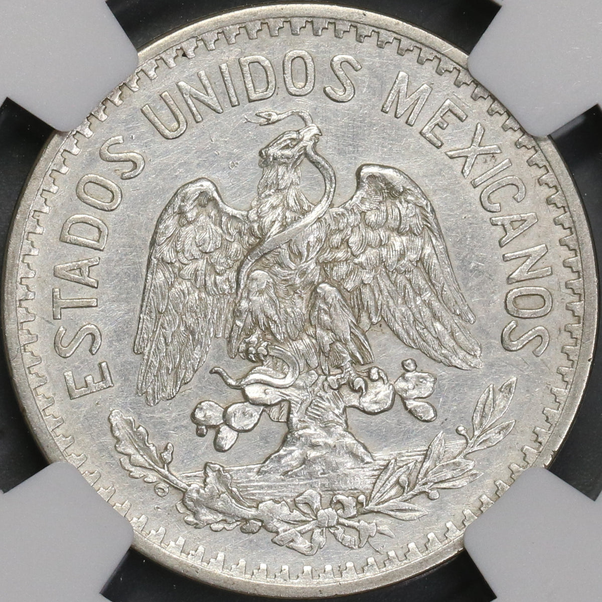 11791 1907年 アメリカ合衆国 50CENTAVOS硬貨 11791 1907年 アメリカ合衆国 50CENTAVOS硬貨 Fifty Centavos