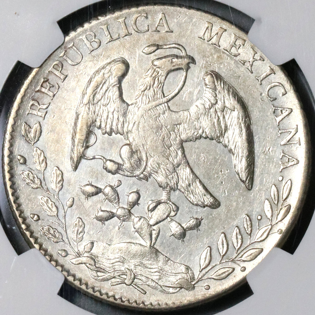 mex_8r_1893oa_aud_r1_1200x1200