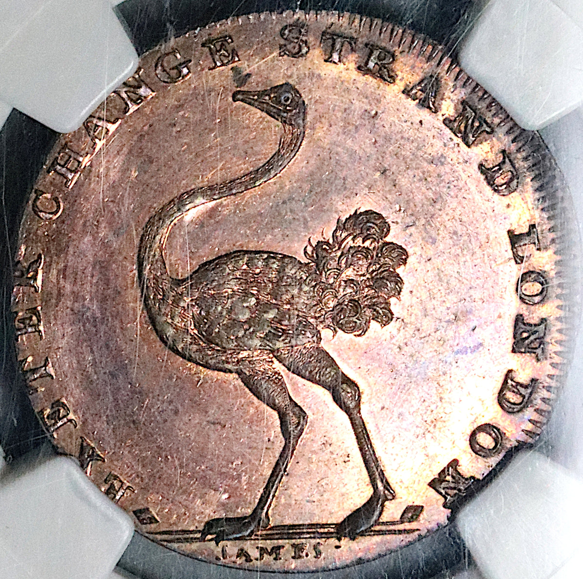 1790s NGC MS 64 RB Ostrich Pidcock's Conder 1/2 Penny Token