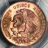 1954 PCGS MS 65 Mexico 5 Cinco Centavos No Dot Josefa GEM Brass Coin (25051801C)