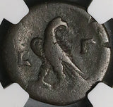 162 NGC F Faustina Jr Egypt Alexandria Diobol Eagle Marcus Aurelius Rare (24010602C)