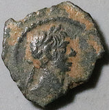 113 Trajan Roman Egypt Alexandria Rhinoceros Dichalkon VF Rare R5 Year 17 (26102302R)