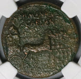 37 NGC Ch VF Roman Empire Germanicus AE Dupondius Posthumous Caligula (26041802C)