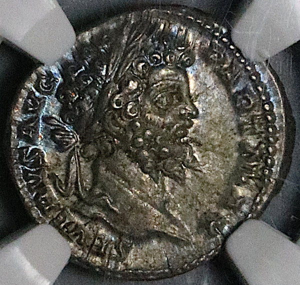 200 NGC AU Septimius Severus Roman Empire Denarius Emperor Sacrificing 5/5 5/5 (25100803C)