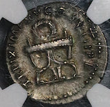 80 NGC Ch XF Titus Denarius Roman Empire Curule Chair Rare Left Portrait Coliseum Pompeii 5/5 4/5 (26090301D)
