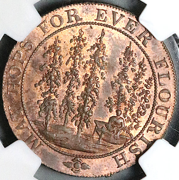 1794 NGC MS 63 Hops Lamberhurst Kent Conder 1/2 Penny DH 34 POP 1/1 (23060204C)