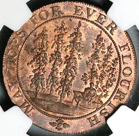 1794 NGC MS 63 Hops Lamberhurst Kent Conder 1/2 Penny DH 34 POP 1/1 (23060204C)