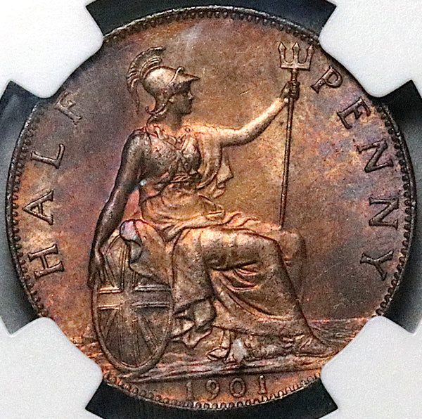1901 NGC MS 64 RB 1/2 Penny Victoria Great Britain Bronze Coin (24041701C)