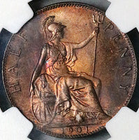 1901 NGC MS 64 RB 1/2 Penny Victoria Great Britain Bronze Coin (24041701C)