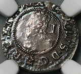 1625 NGC MS 62 Charles I Penny Great Britain England Hammered Silver Coin POP 1/0 (24032402C)