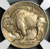 1913-S NGC MS 62 Type 1 Buffalo Nickel 5 Cents United States Coin (24103002C)
