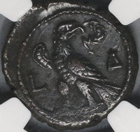 240/1 NGC XF Gordian III Egypt Alexandria Tetradrachm Eagle Stg Year 4 (17062804D)