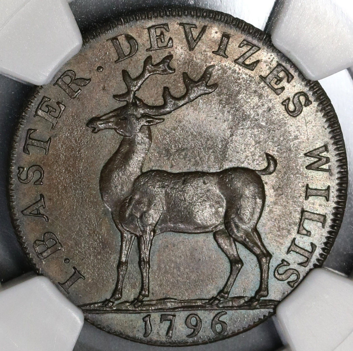 1796 NGC MS 64 Stag Conder 1/2 Penny Token Wiltshire Devizes D&H 2A PO ...