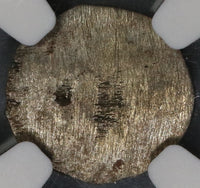 1684 NGC MS 65 Nurnberg Silver 1 Pfennig German State Uniface Coin (19051404C)