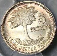 1956 PCGS MS 67 Guatemala 5 Centavos Kapok Tree Gem Mint State Silver Coin (15110804D