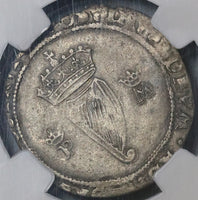 1555 NGC VF 20 Ireland Mary Tudor Philip Spain 4 Pence Groat Silver Coin S-6501 (22071901D)