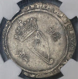 1555 NGC VF 20 Ireland Mary Tudor Philip Spain 4 Pence Groat Silver Coin S-6501 (22071901D)