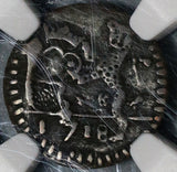 1718 NGC VF 25 Lucca 1 Panterino Republic Italy State Leopard Coin (20010703C)