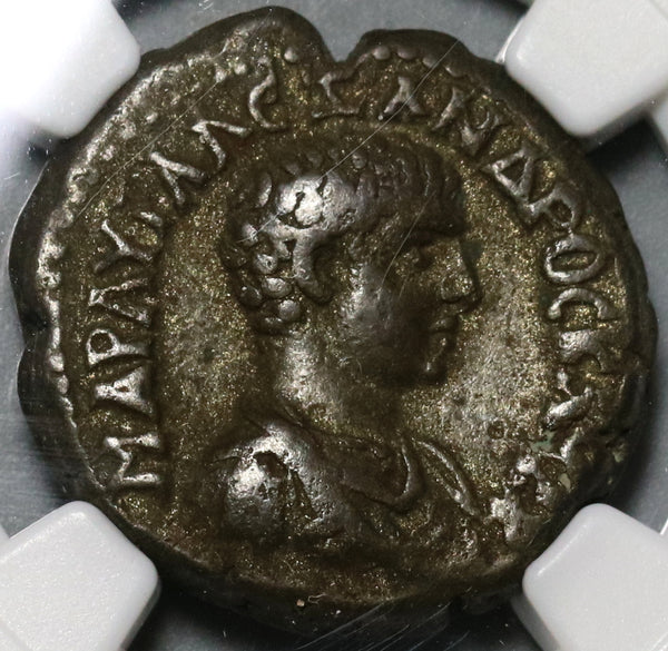 221 NGC VF Severus Alexander Caesar Rare Tetradrachm Roman Egypt Alexandria Sarapis R5 (19112002C)