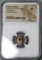 138 NGC XF Antoninus Pius Caesar Roman Empire Denarius Concordia (19063005C)