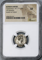 175 NGC XF Commodus Caesar Roman Empire Denarius Liberalitas Unpublished Variety (19043001C)