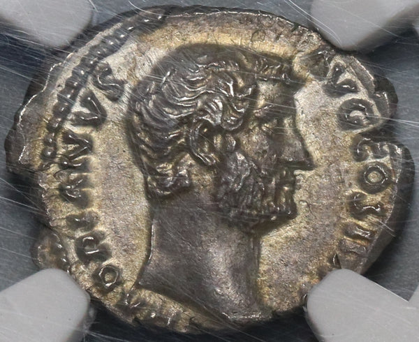 134 NGC MS Hadrian Denarius Roman Empire Fides Fruit Mint State Ancient (20111703C)