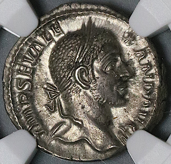 228 NGC Ch AU Severus Alexander Roman Empire Denarius Fides Legionary Standards (22030705C)