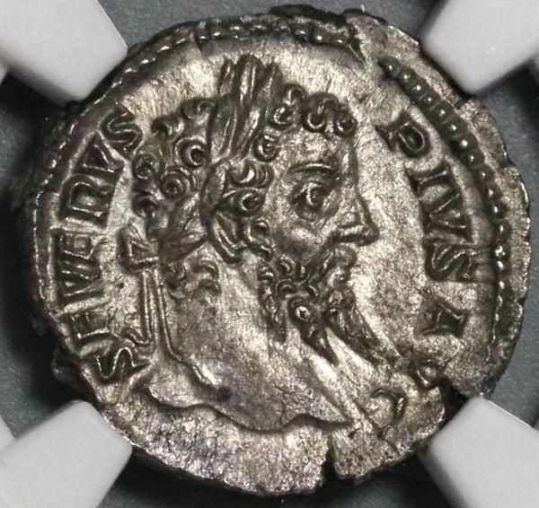 207 NGC MS Septimius Severus Denarius Roman Empire Africa Lion
