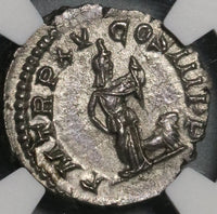 207 NGC MS Septimius Severus Denarius Roman Empire Africa Lion Rare Pedigree (22030601C)