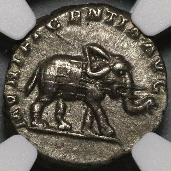 196 NGC XF Elephant Septimius Severus Roman Empire Denarius Historic Victory over Albinus (20050601C)