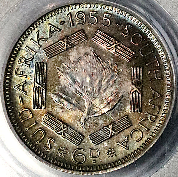 1955 PCGS PR 67 South Africa 6 Pence Gem Proof Protea Flower Silver Coin (23032604C)