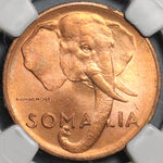 1950 NGC MS 65 Somalia 5 Centesimi Elephant AH 1369 RED BU Coin (21051502C)