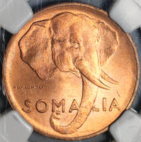 1950 NGC MS 65 Somalia 5 Centesimi Elephant AH 1369 RED BU Coin (21051502C)
