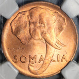 1950 NGC MS 65 Somalia 5 Centesimi Elephant AH 1369 RED BU Coin (21051502C)