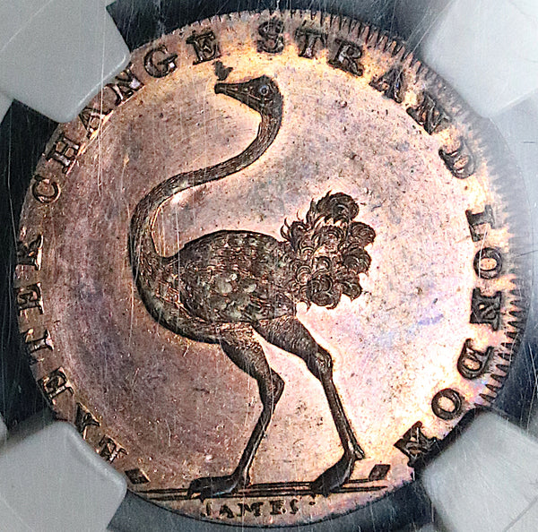 1790s NGC MS 64 RB Ostrich Pidcock's Conder 1/2 Penny Token Middlesex DH 445 Great Britain Coin (16122902D)