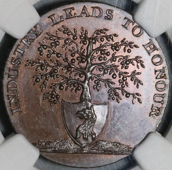 1796 NGC MS 66 Gloucestershire Newent 1/2 Penny Conder Token Crab Apple Tree D&H 64 (21032101D)